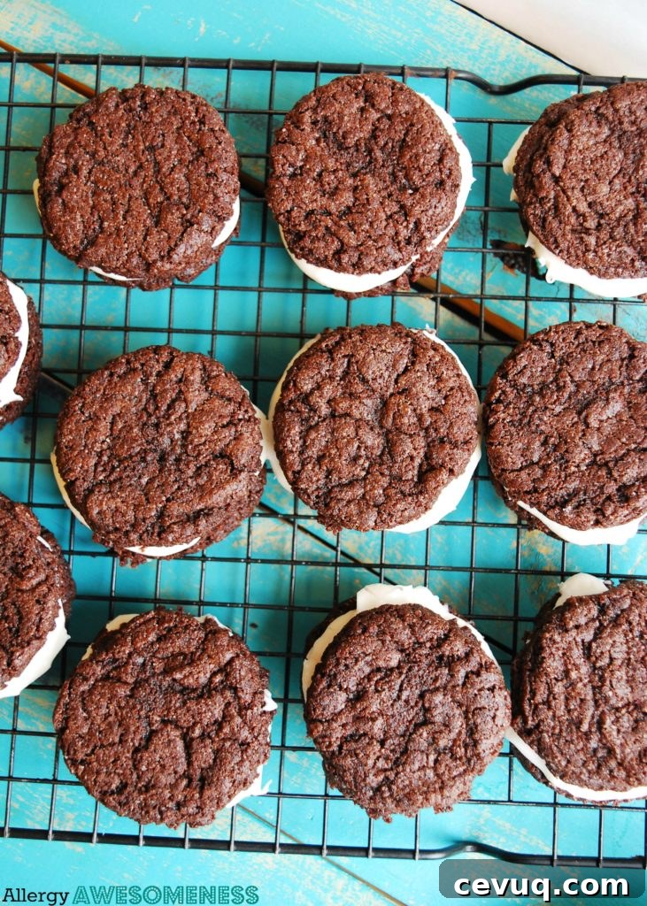 Allergy-Friendly Vegan Oreos — Top 8 Allergen-Free Homemade Recipe 3 Allergy-friendly Homemade Oreo Recipe by AllergyAwesomeness.com