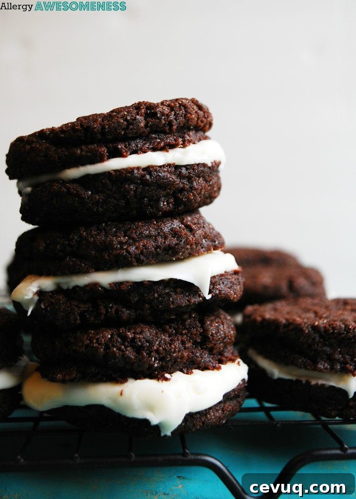 Allergy-Friendly Vegan Oreos — Top 8 Allergen-Free Homemade Recipe 5 Allergy-friendly Homemade Oreo Recipe by AllergyAwesomeness.com
