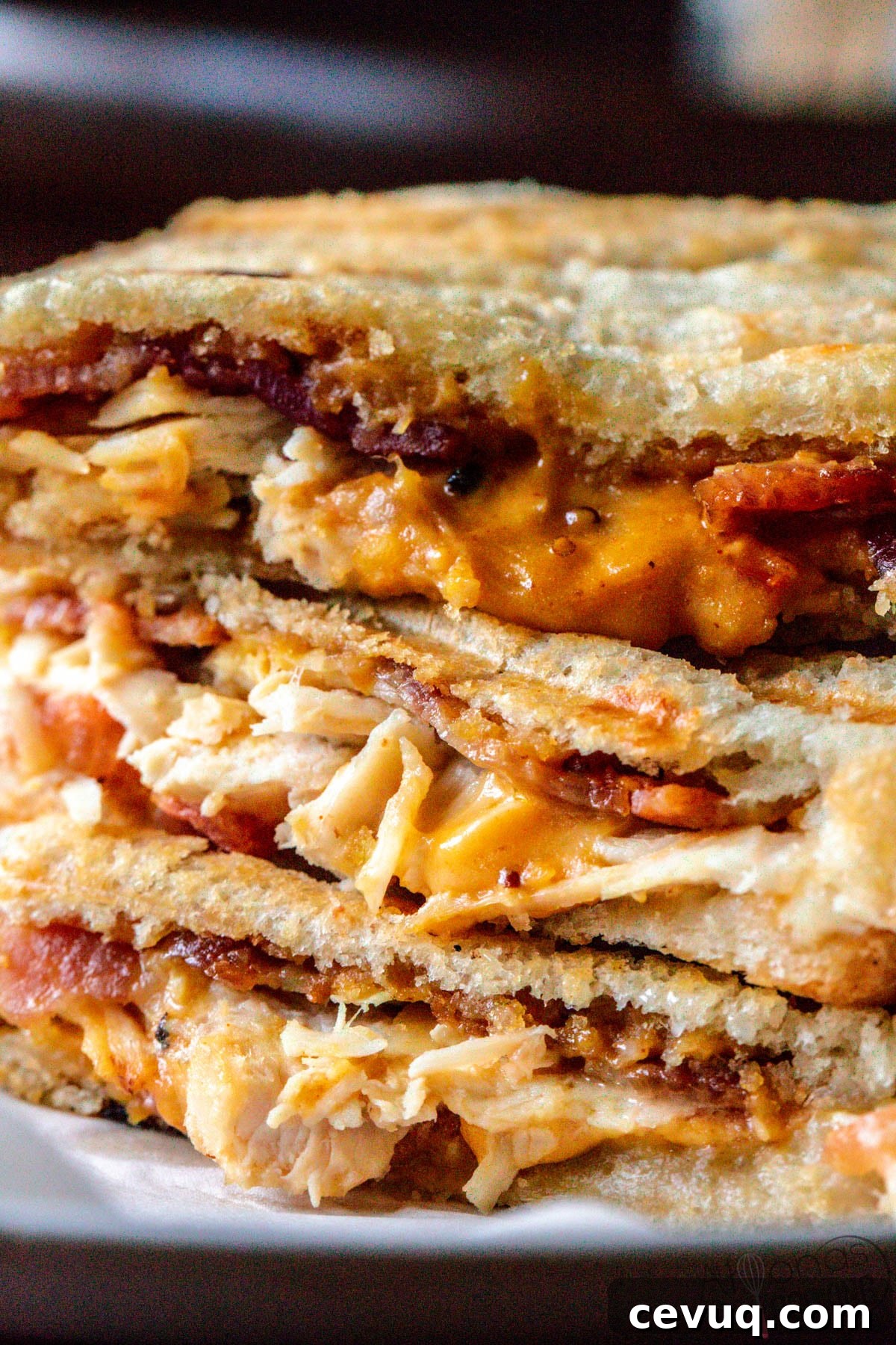 Sliced chicken panini sandwich on a plate