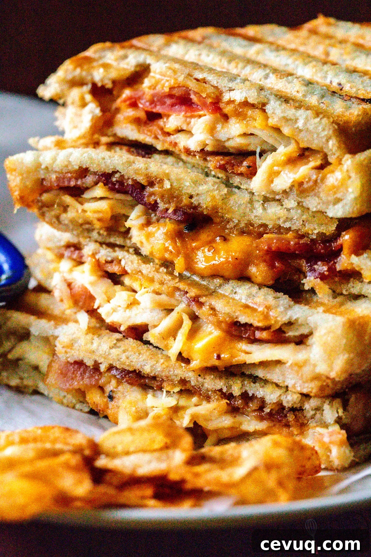 how to make a panini sandwich recipe using a panini press