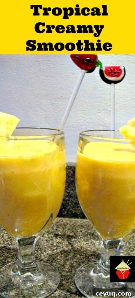 Tropical Smoothie Recipes: Refreshing Fruit Blends & Drinks 2 Tropical Creamy Smoothie. A lovely cool, refreshing drink perfect to start your morning off happy! | Lovefoodies.com