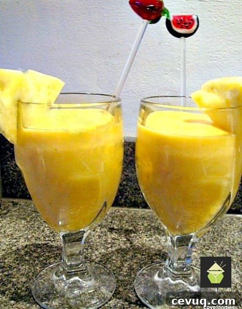 Tropical Smoothie Recipes: Refreshing Fruit Blends & Drinks 3 Tropical Creamy Smoothie. A lovely cool, refreshing drink perfect to start your morning off happy! | Lovefoodies.com