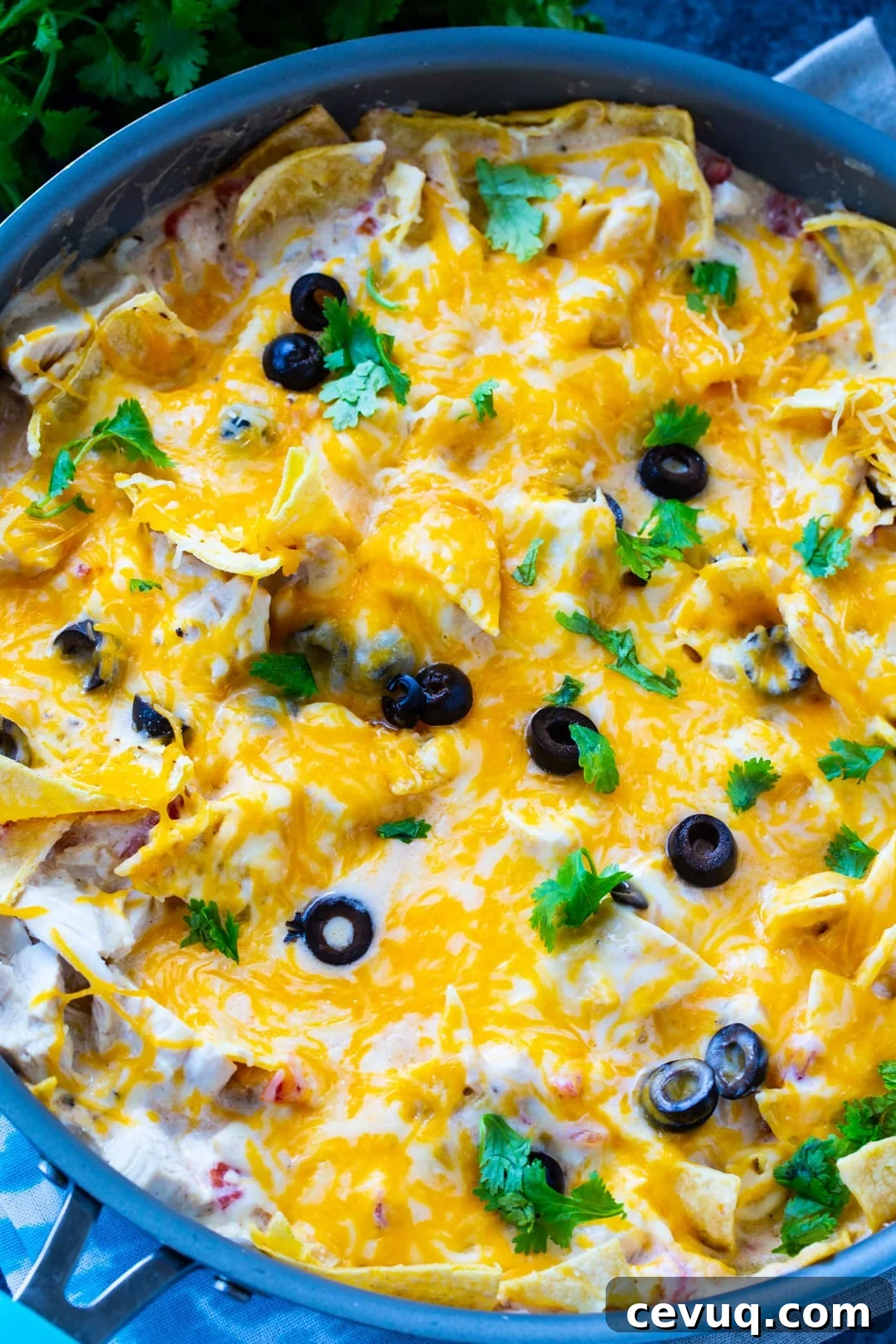 Overhead of One Pot Creamy Chicken Enchilada Skillet in skillet.