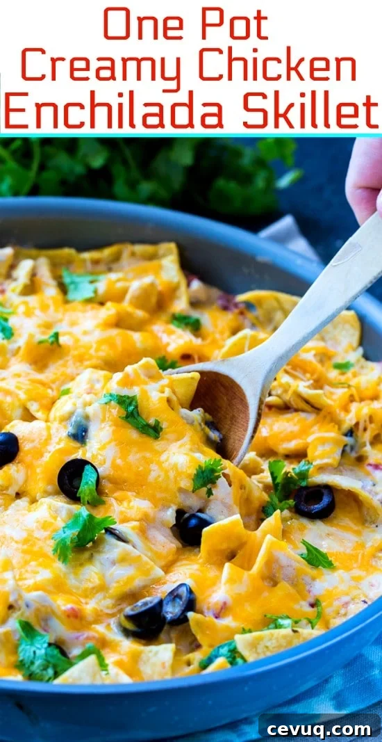 One Pot Creamy Chicken Enchilada Skillet