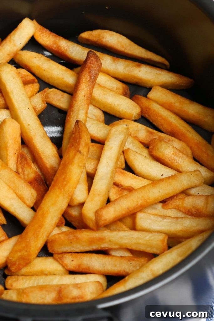 Air Fryer Frozen French Fries