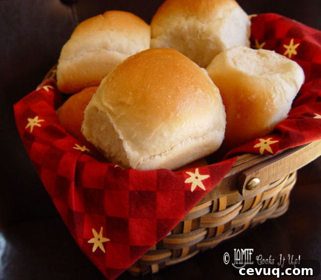 Fluffy Dinner Rolls