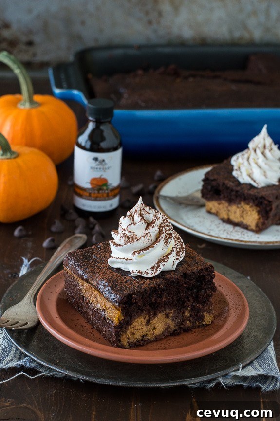 Easy Chocolate Pumpkin Magic Cake with a pumpkin pie layer and a chocolate cake layer! 