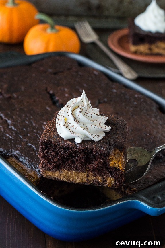 Easy Chocolate Pumpkin Magic Cake with a pumpkin pie layer and a chocolate cake layer! 
