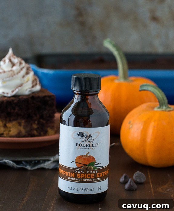 Easy Chocolate Pumpkin Magic Cake with a pumpkin pie layer and a chocolate cake layer! 