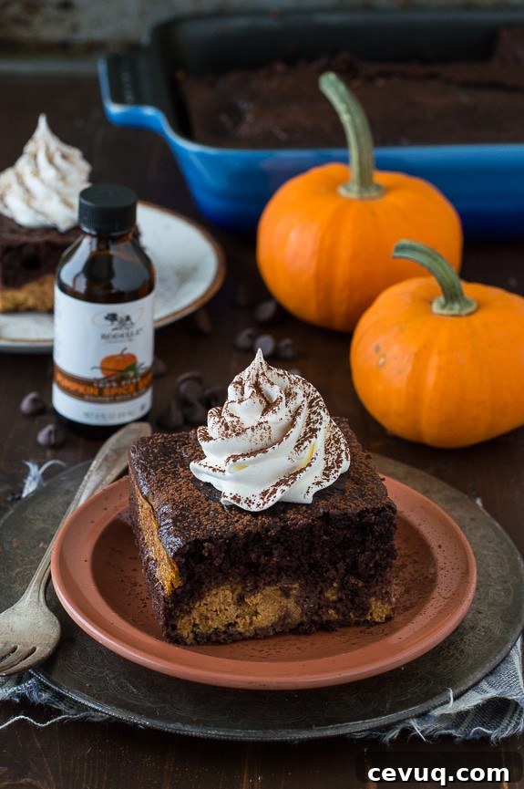 Easy Chocolate Pumpkin Magic Cake with a pumpkin pie layer and a chocolate cake layer! 