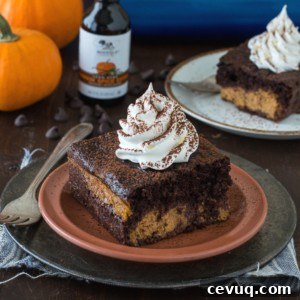 A slice of rich chocolate pumpkin cake topped with whipped cream sits on a terracotta plate, with a fork beside it. In the background are another cake slice, a bottle, chocolate chips, and small pumpkins.