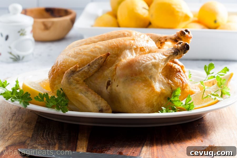 Roasted Lemon Chicken {Pollo Al Limone} by What a Girl Eats // FoodNouveau.com
