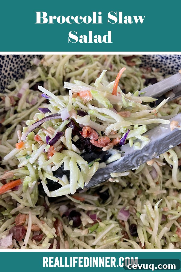 Crunchy Broccoli Slaw Salad with Tangy Lemon Dressing 9 Pinterest picture of tongs grabbing broccoli slaw salad in a bowl of broccoli slaw salad. The text of the title of the recipe is at the top.