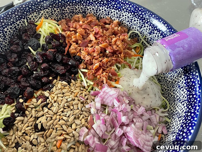 Broccoli slaw topped with bacon crumbles, Craisins, sunflower seeds, diced red onion in a white and dark blue bubble patterned Polish Pottery bowl with the neck of a bottle of poppy seed dressing on the right edge pouring salad dressing into the bowl.
