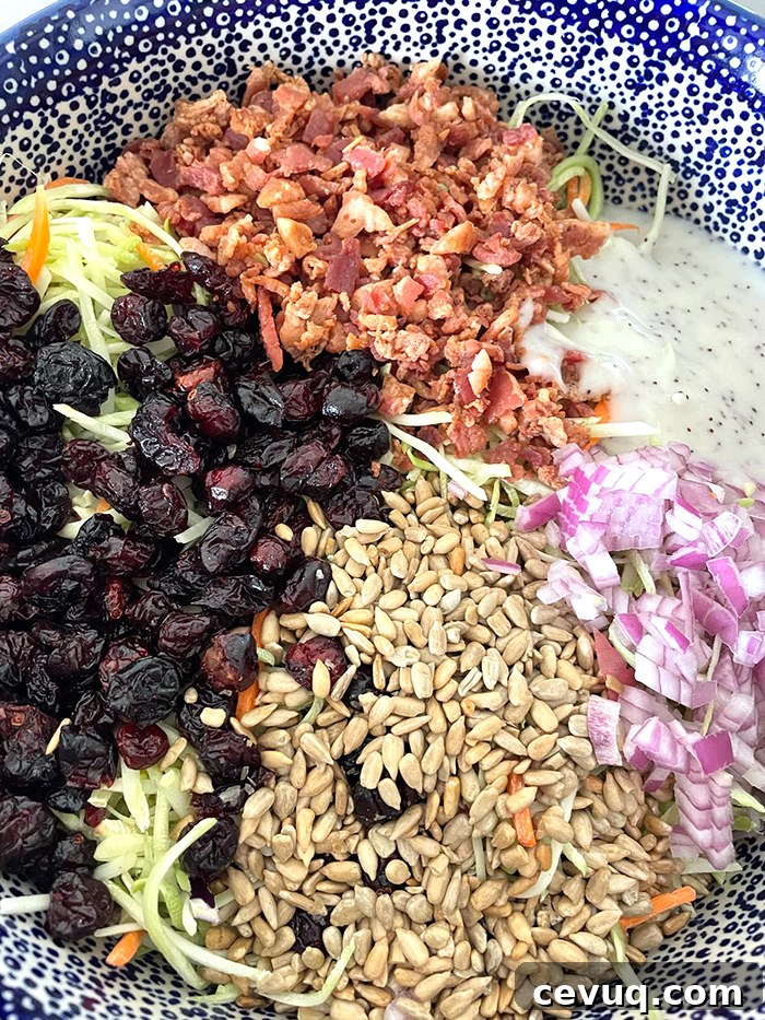 A dark blue and white bubble patterned large Polish Pottery bowl with broccoli slaw on the bottom and bacon crumbles, poppy seed salad dressing, diced red onion, sunflower seeds, and Craisins on top.