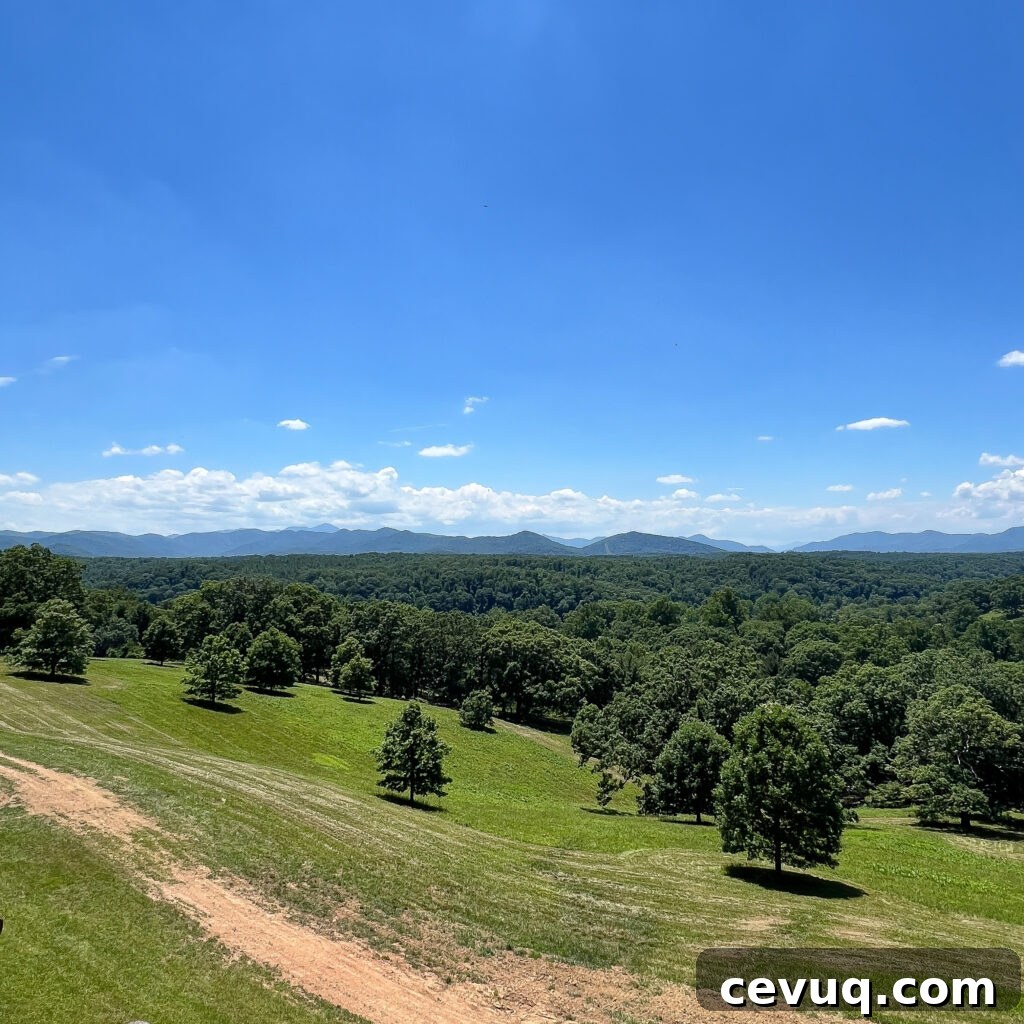 Rolling green hills and distant mountains under a bright blue sky.