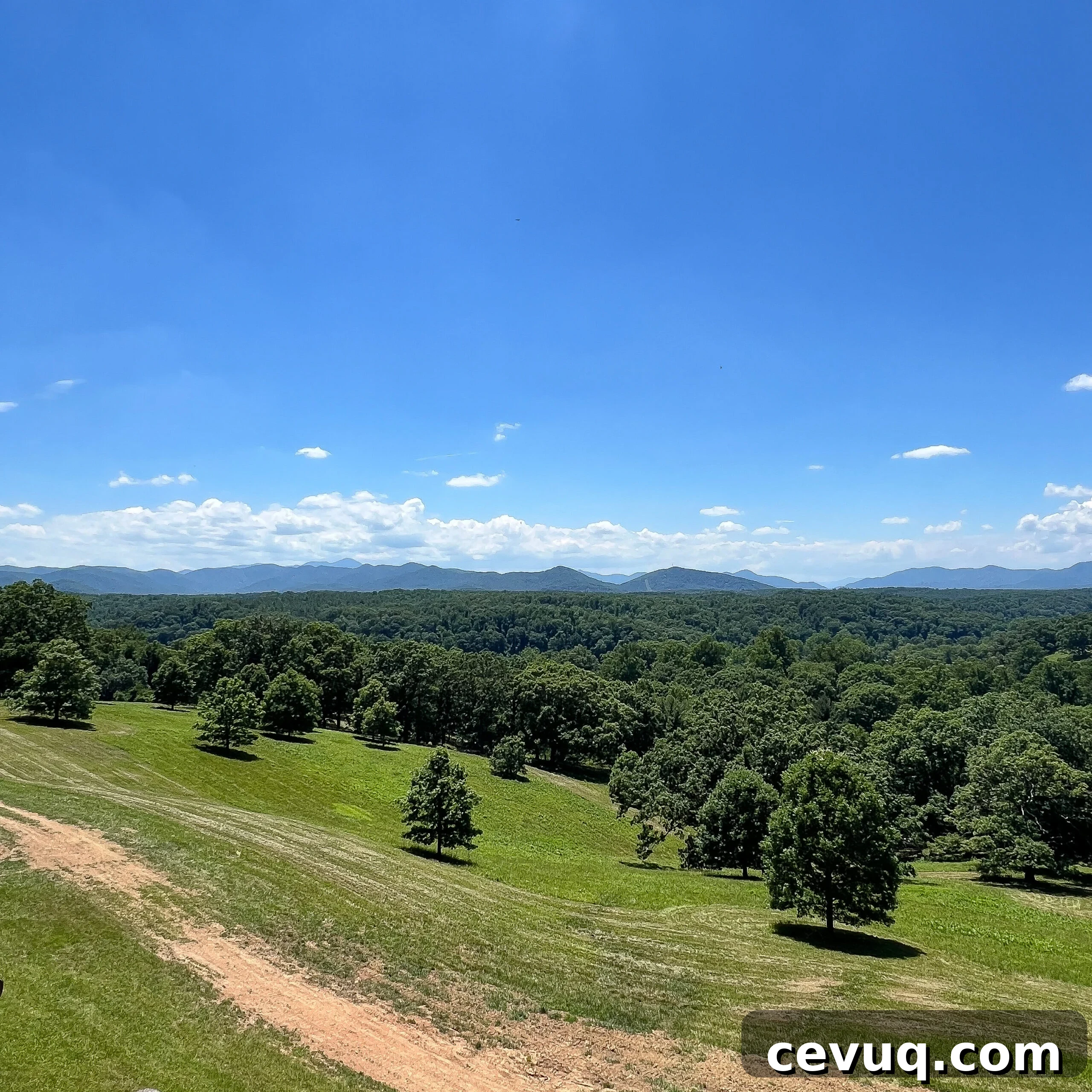 Rolling green hills and distant mountains under a bright blue sky.