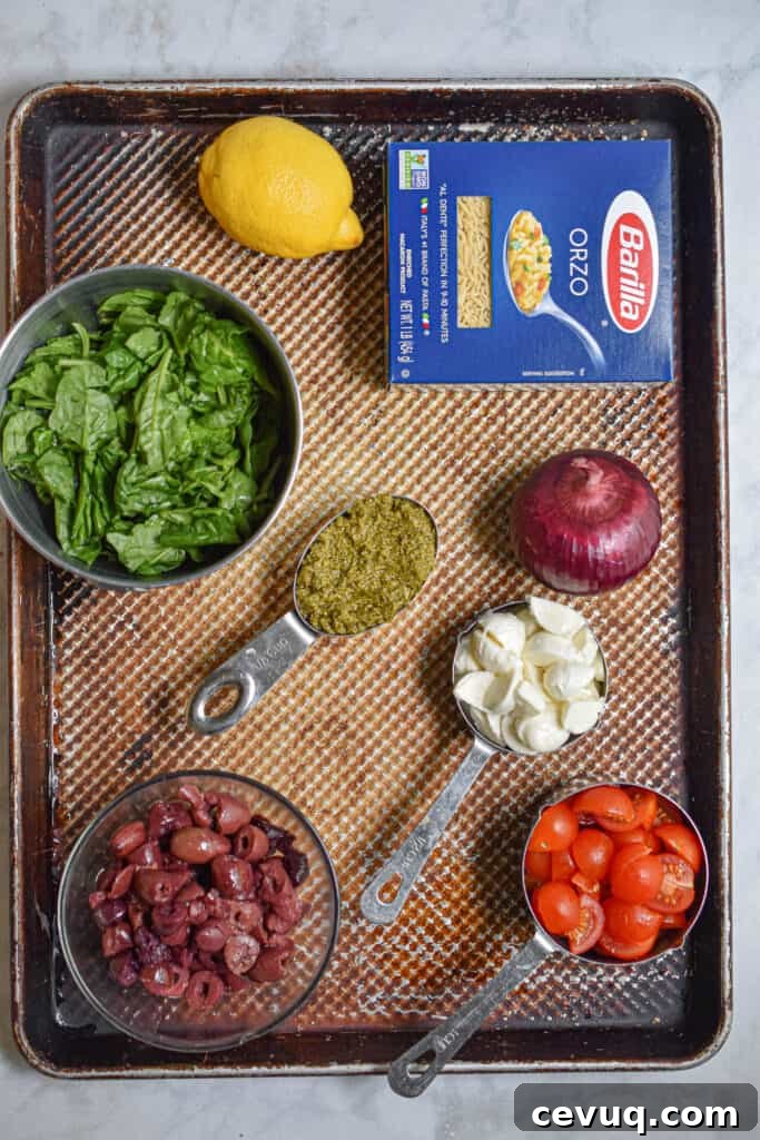 Ingredients for the Orzo Pesto Pasta Salad