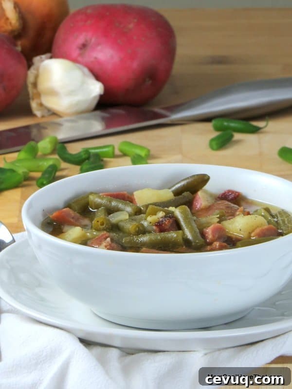 Comforting Ham and Green Bean Soup Recipe for Cozy Meals 2 Low Carb, Hearty Ham and Green Bean Soup | Low Carb, Gluten-free, Dairy-free | Momcanihavethat.com