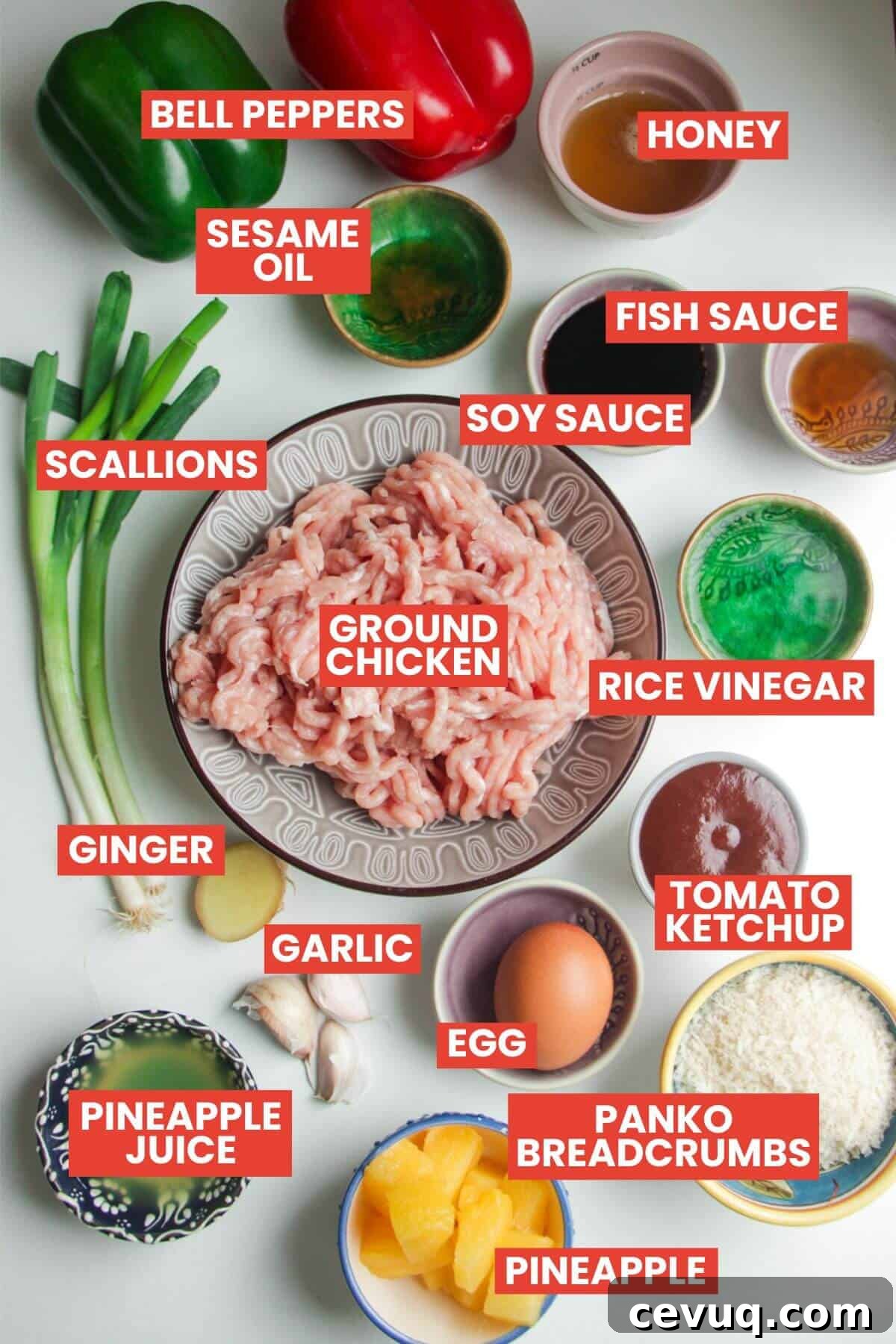 Ingredients for sweet and sour meatballs laid out and labelled.