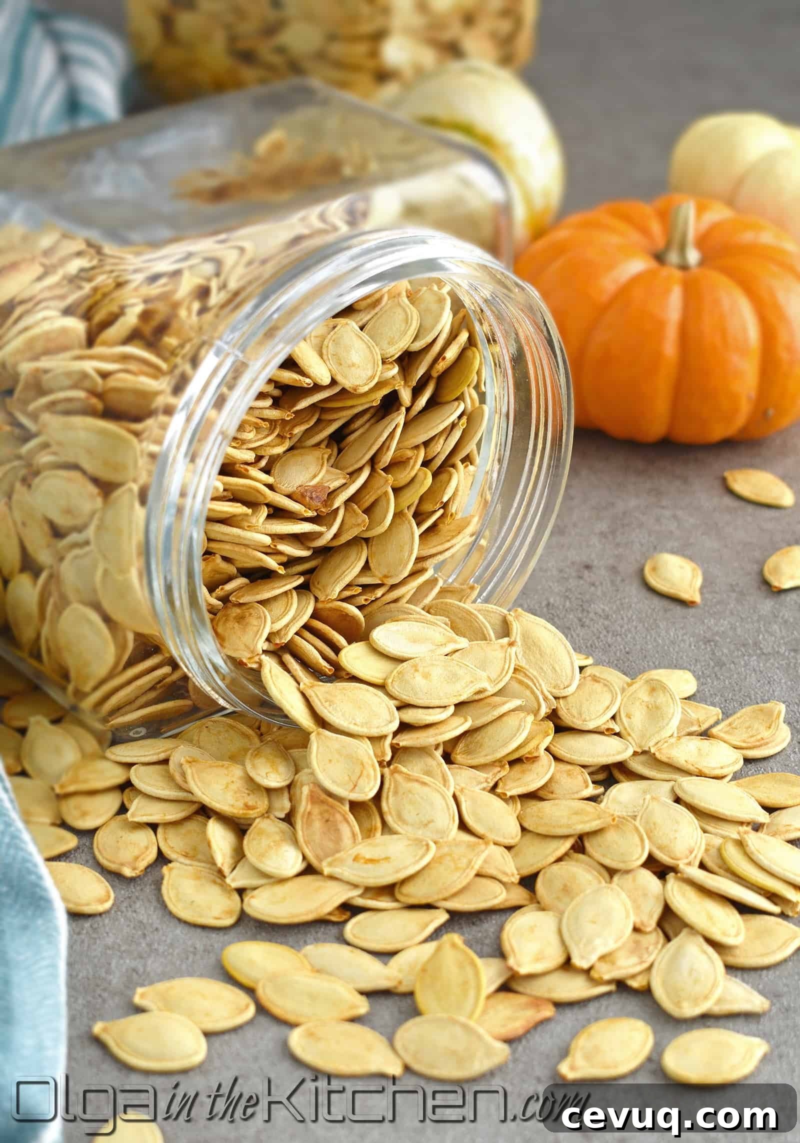 Crispy Oven-Roasted Pumpkin Seeds Recipe for Snacking 3 img 2557 2