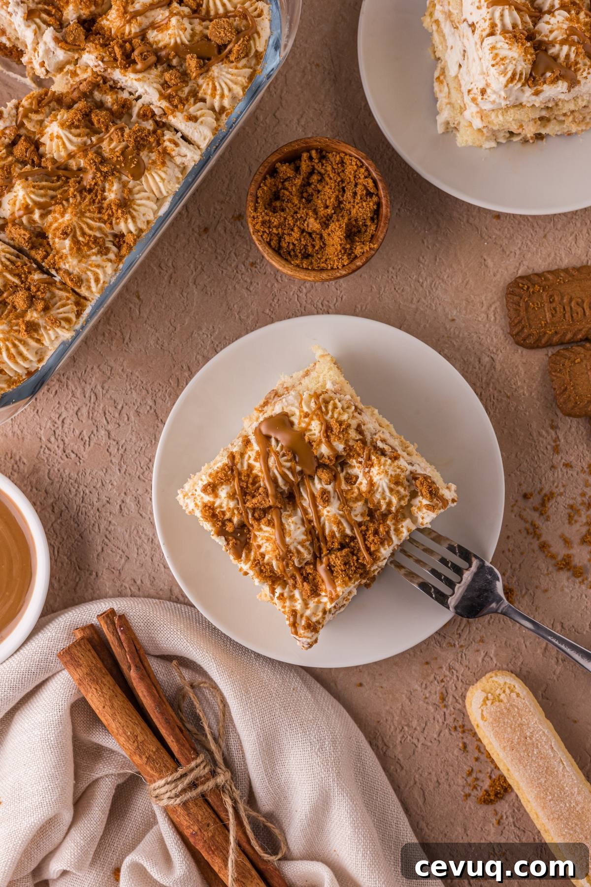 Overhead view of a plate with a slice of cake topped with cream and crumbs, surrounded by cinnamon sticks and brown sugar.
