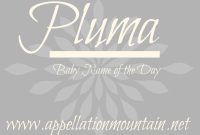Pluma Baby Name: Origin, Meaning & Popularity Today