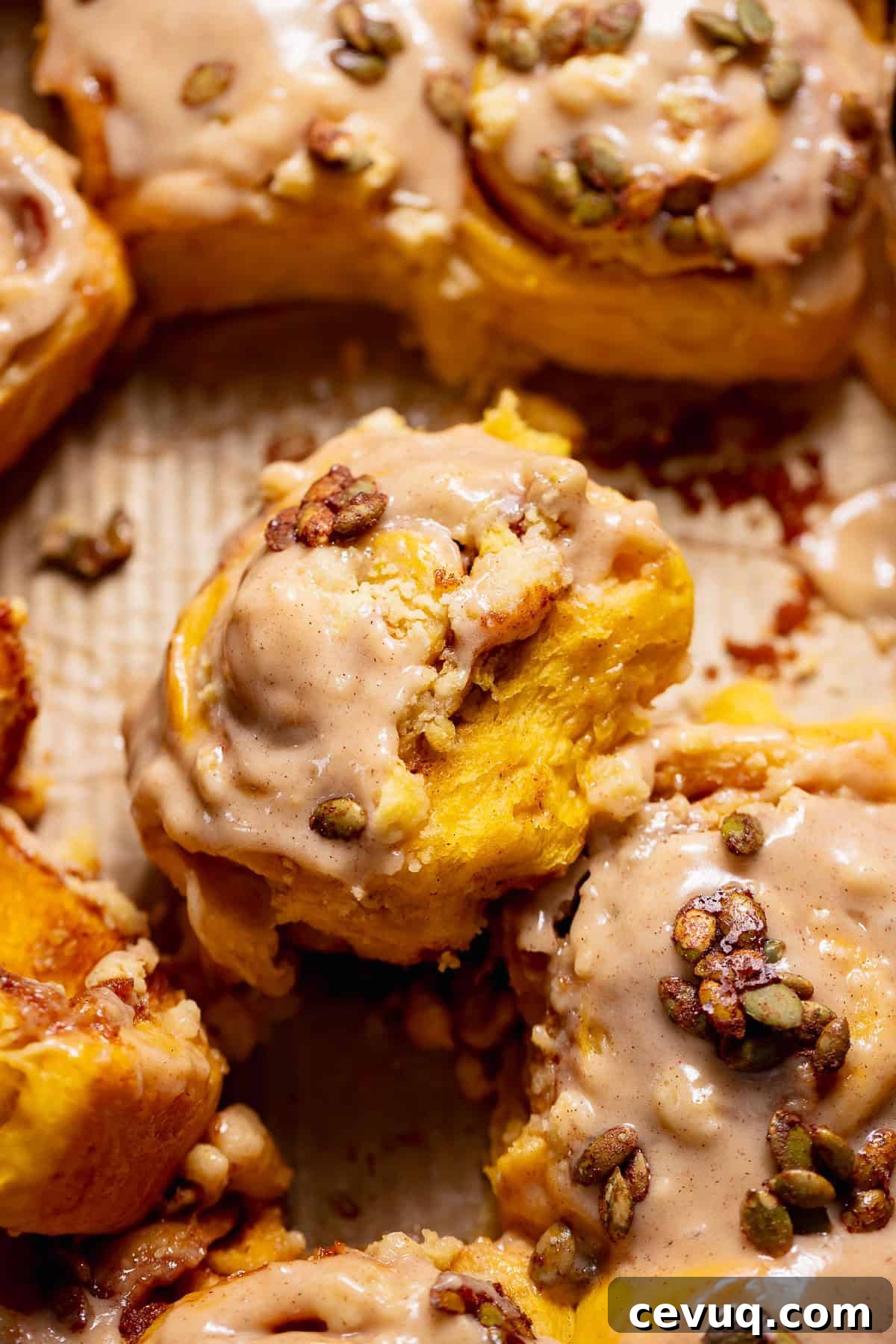 Pumpkin Cinnamon Rolls with Cream Cheese Cinnamon Frosting 2 Pumpkin cinnamon rolls with cinnamon cream cheese frosting and candied pumpkin seeds in a baking pan.