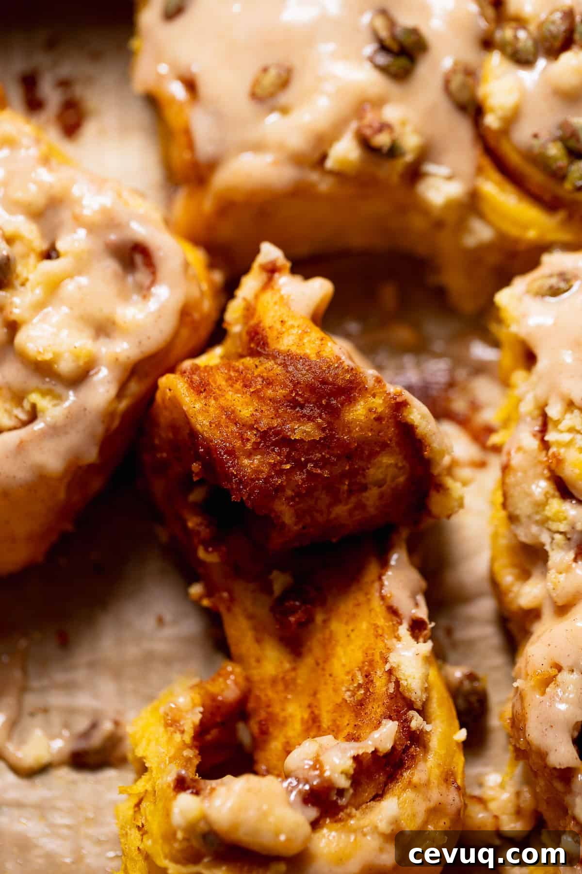 Pumpkin Cinnamon Rolls with Cream Cheese Cinnamon Frosting 11 A pumpkin pie roll half unrolled in a baking pan to show the gooey filling.