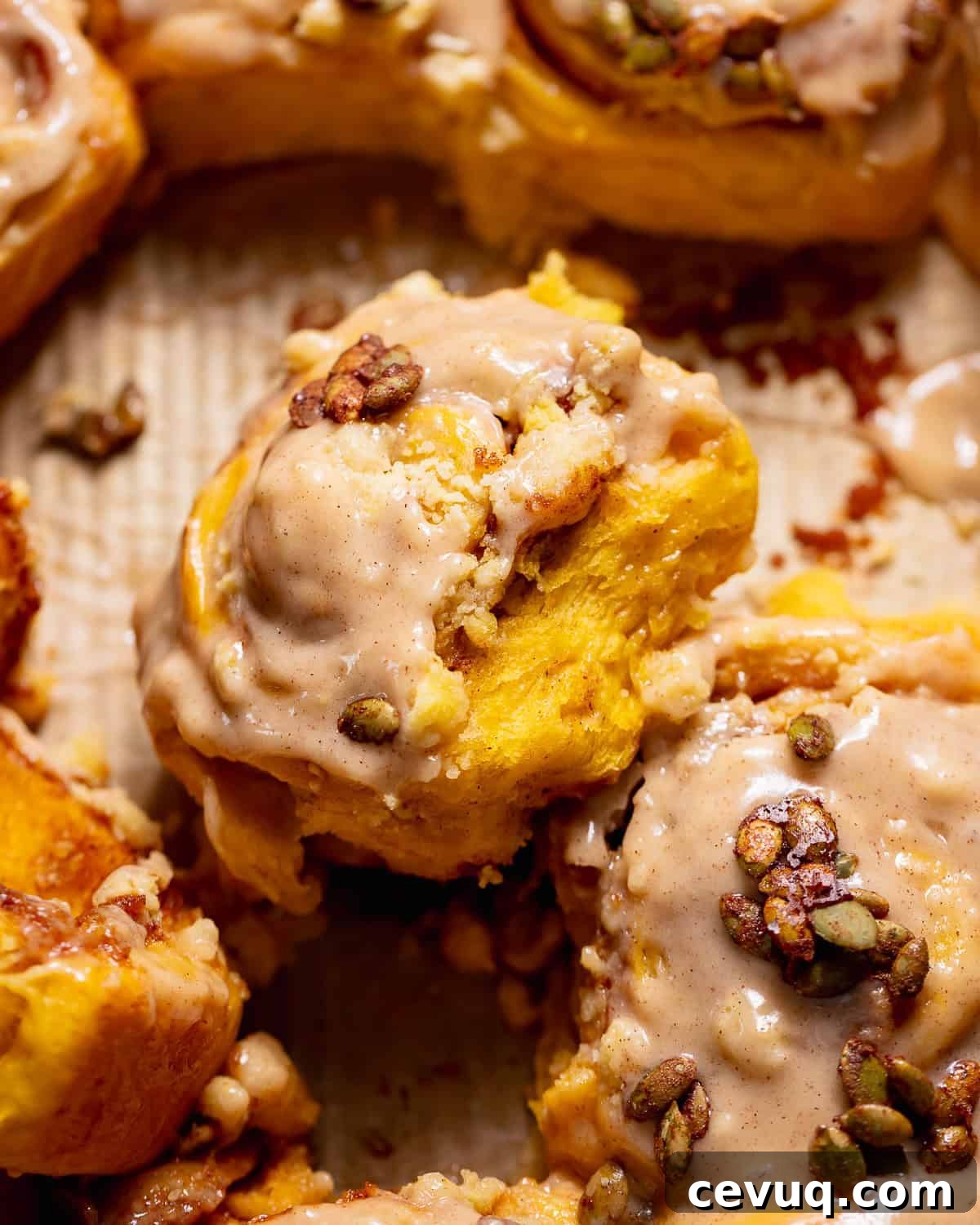 Pumpkin Cinnamon Rolls with Cream Cheese Cinnamon Frosting 12 Pumpkin cinnamon rolls with cinnamon cream cheese frosting and candied pumpkin seeds in a baking pan.