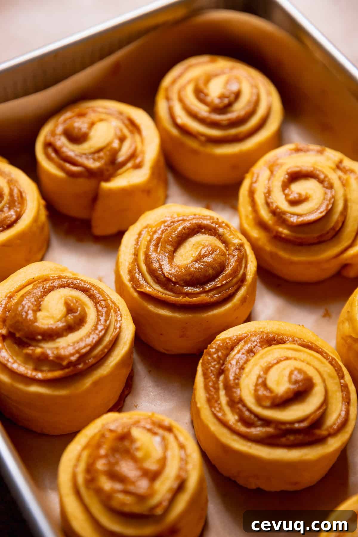 Pumpkin Cinnamon Rolls with Cream Cheese Cinnamon Frosting 6 Pumpkin rolls with pumpkin pie filling in a baking pan.