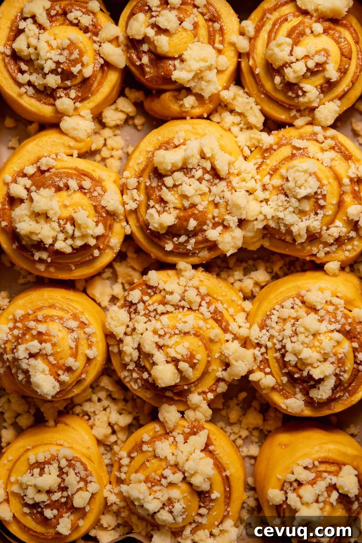 Pumpkin Cinnamon Rolls with Cream Cheese Cinnamon Frosting 8 Pie crumb topped cinnamon rolls before baking.