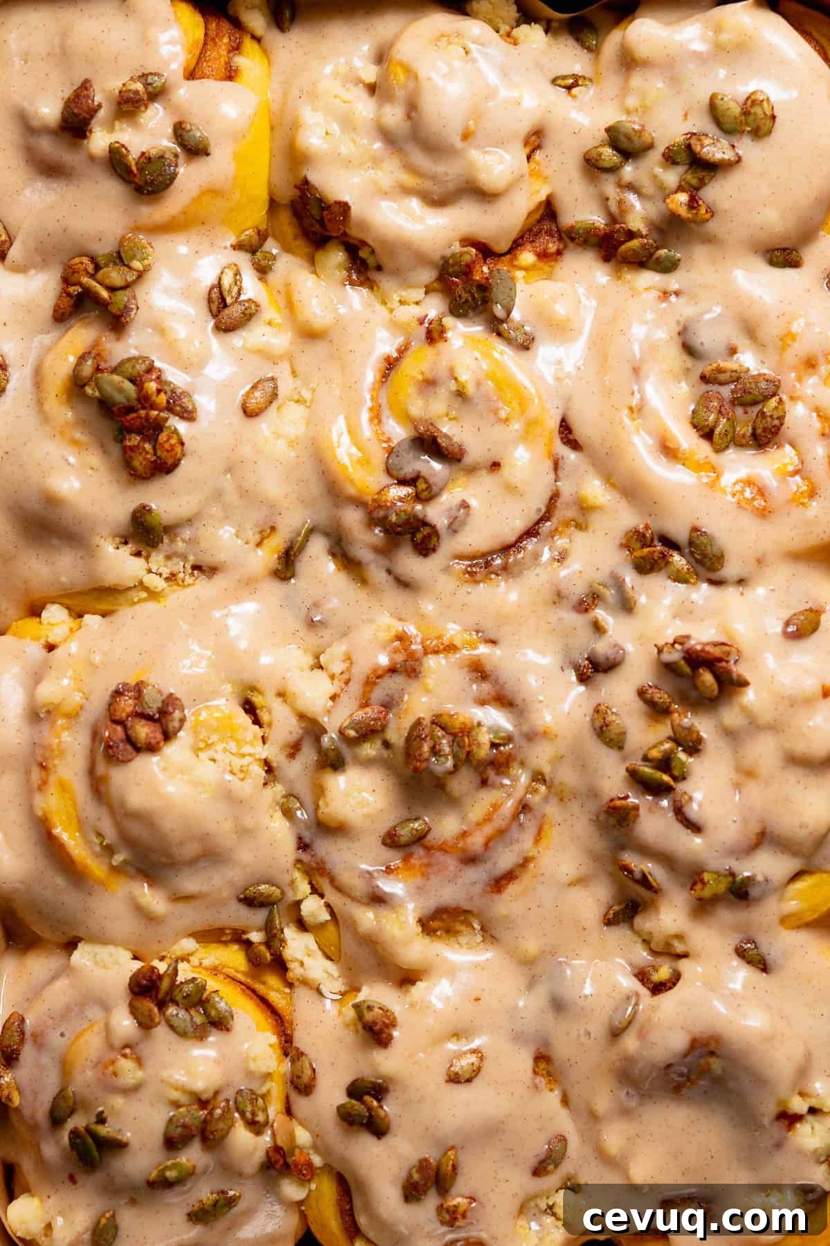 Pumpkin Cinnamon Rolls with Cream Cheese Cinnamon Frosting 10 Pumpkin filled cinnamon rolls with cinnamon cream cheese frosting in a baking pan.