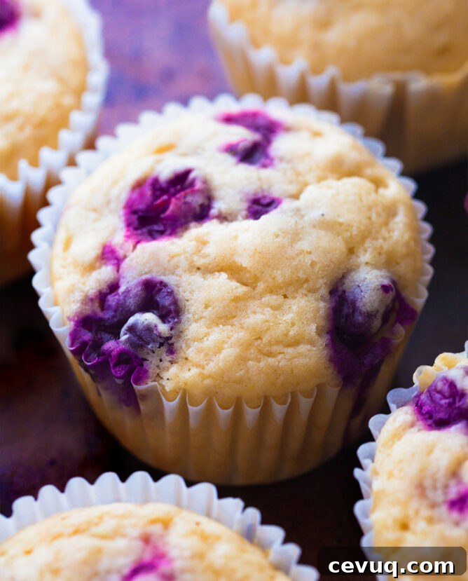 Easy Vegan Blueberry Muffins
