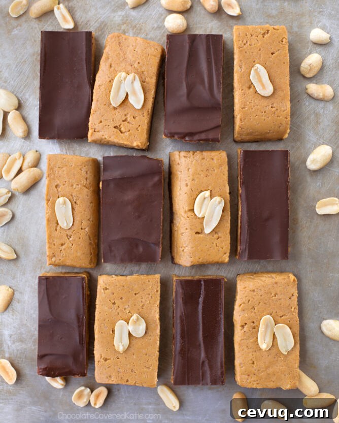 How To Make Protein Bars Easy Recipe