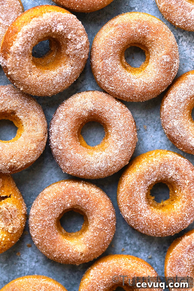 Pumpkin Spice Doughnuts