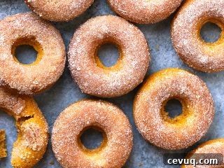 Pumpkin Spice Doughnuts