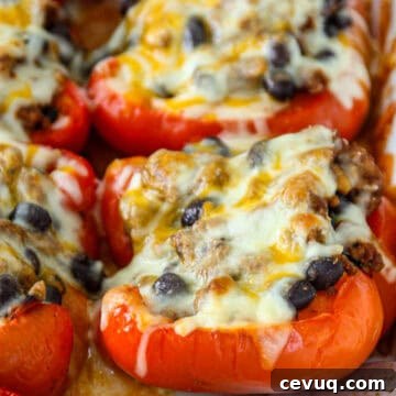 Red bell peppers stuffed with taco meat and topped with melted cheese.