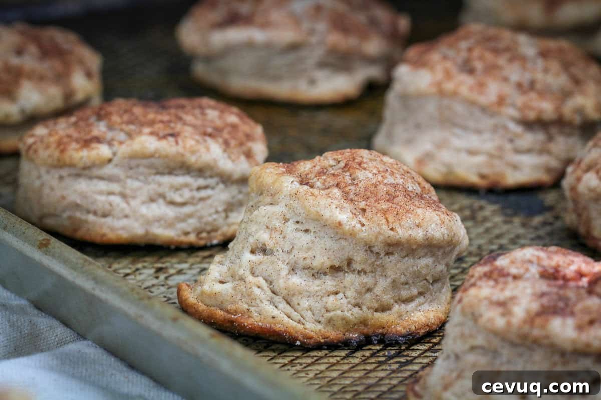Pumpkin Spice Biscuits with Whipped Spiced Sweet Butter
