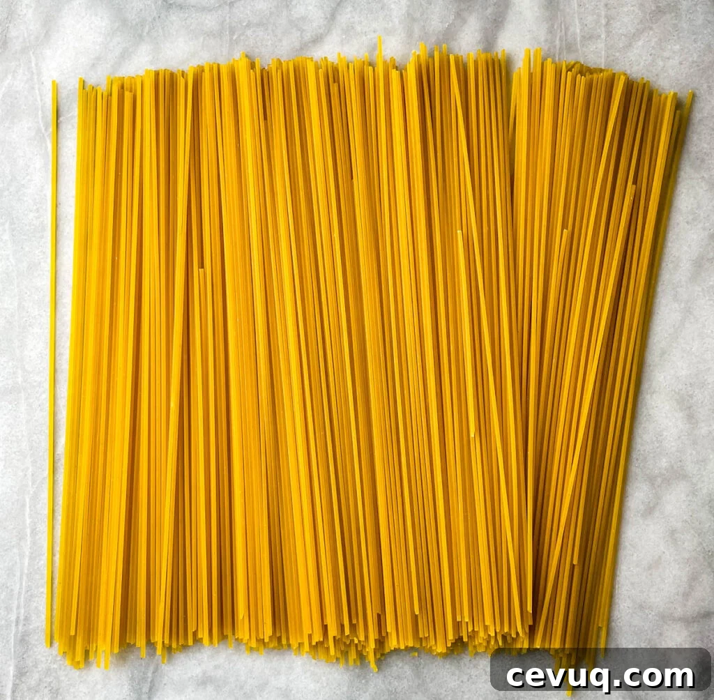 uncooked spaghetti pasta