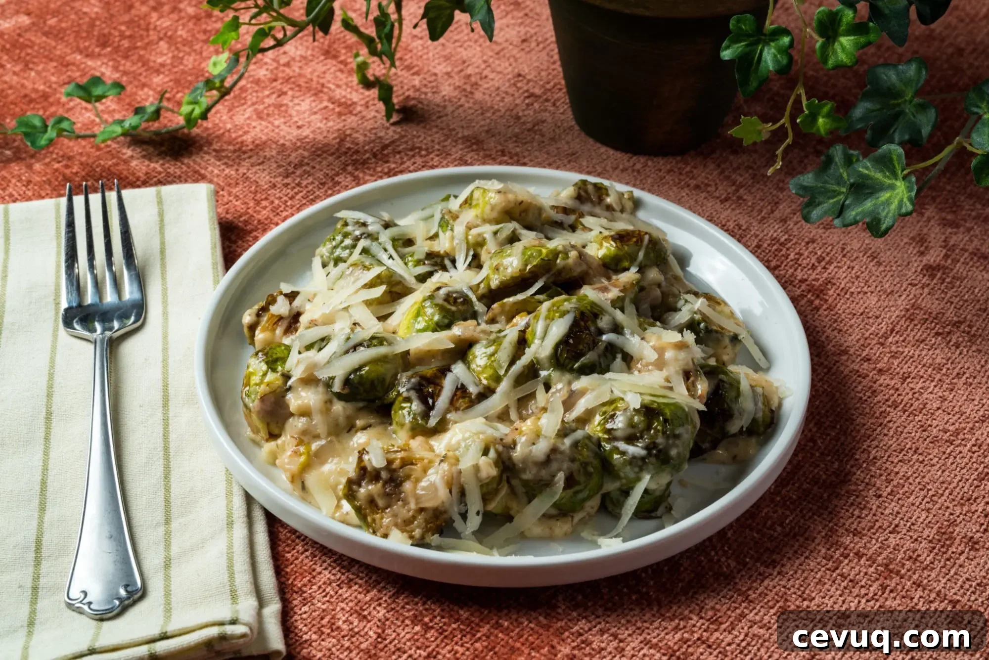 Brussels Sprouts in Manchego Cheese Sauce