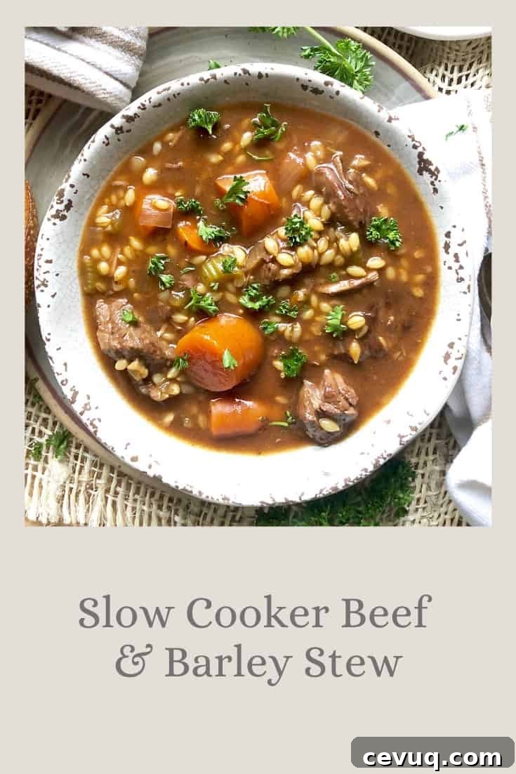 Slow cooker beef & barley stew
