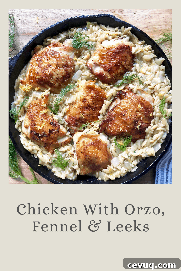 chicken with orzo, fennel & leeks