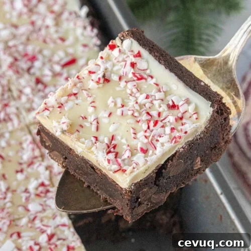Thick peppermint bark brownie lifted from pan with fudgy chocolate base, white chocolate topping, and crushed peppermint pieces.