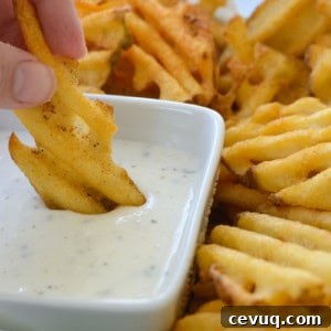 air fryer fries