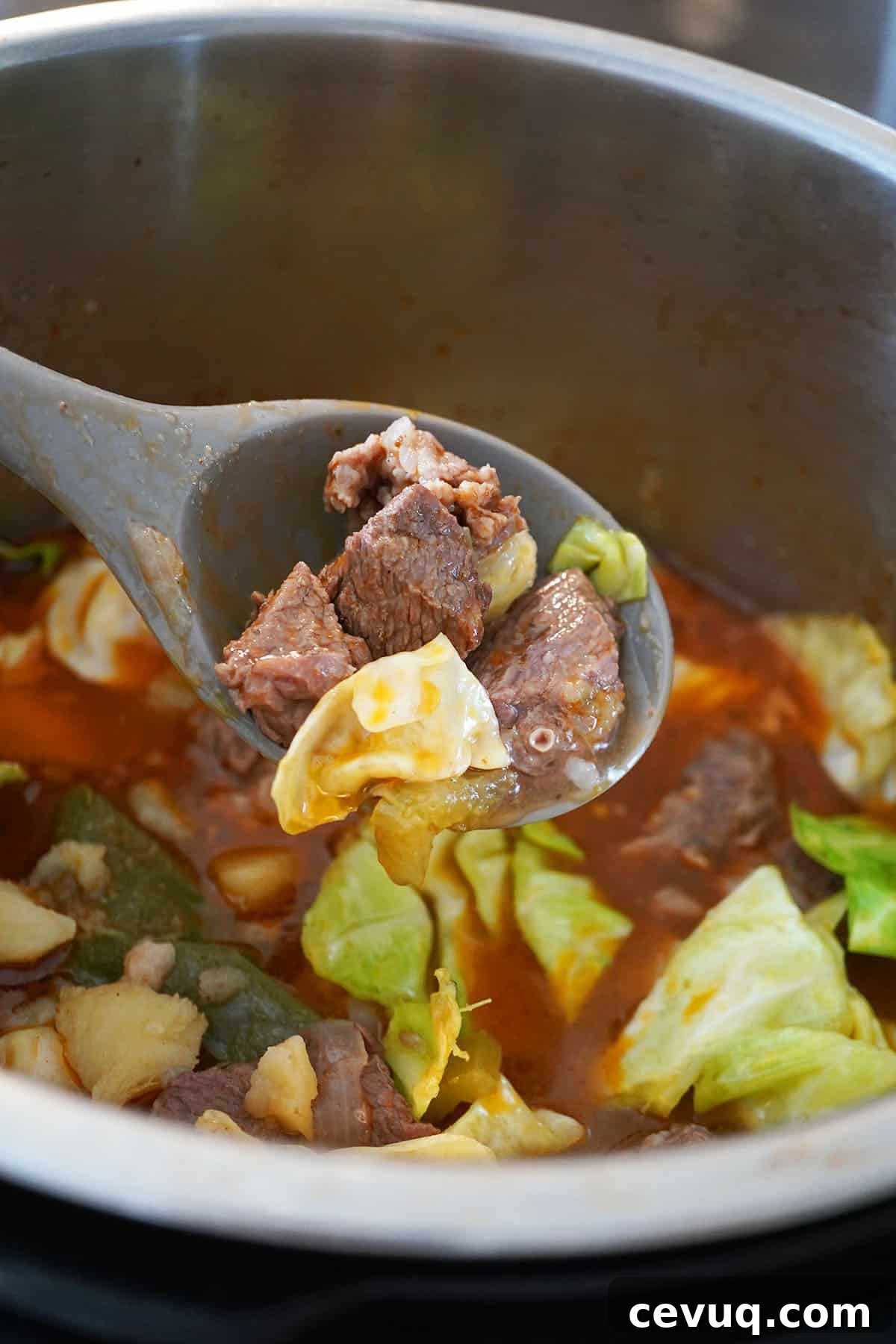 instant Pot Beef Stew
