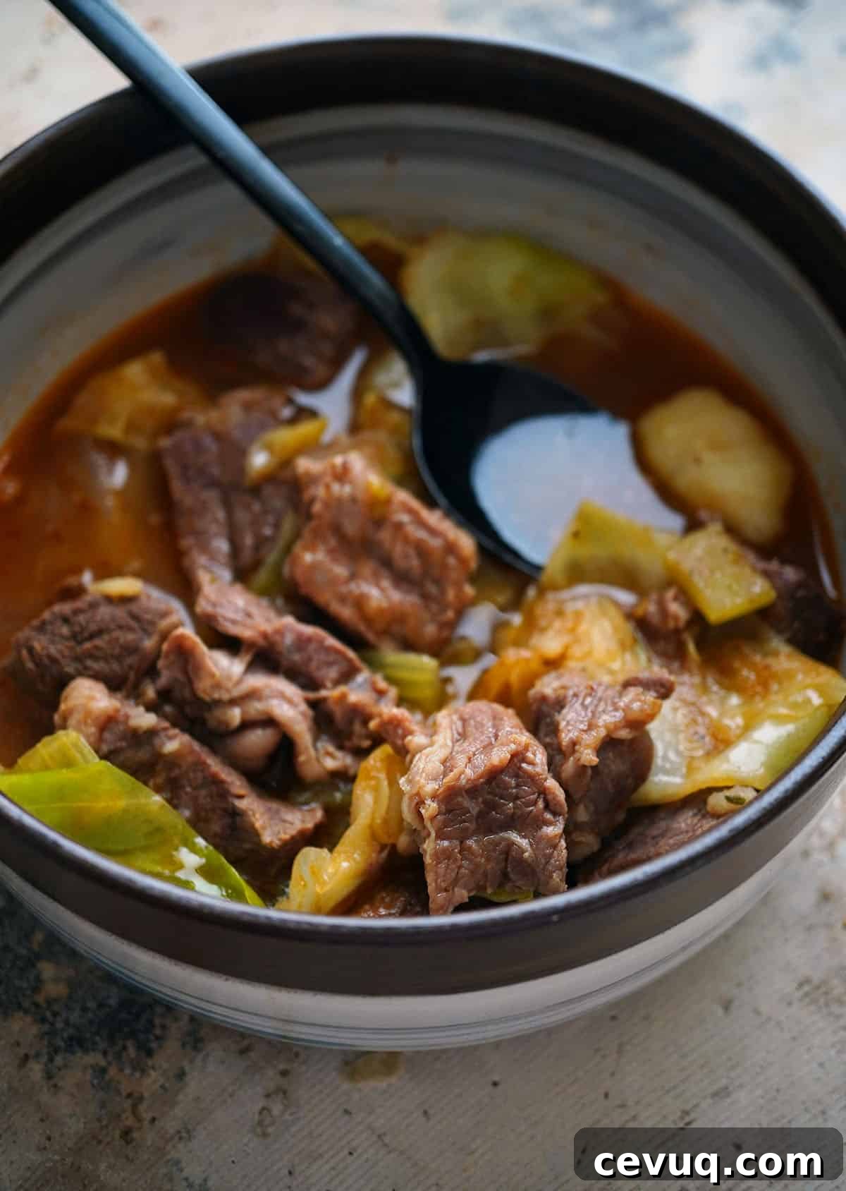 Instant Pot Beef and Cabbage Stew
