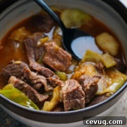 Instant Pot Beef and Cabbage Stew