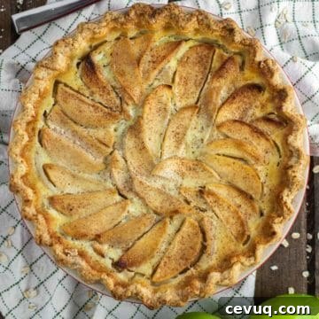 overhead shot of apple pie in pie plate
