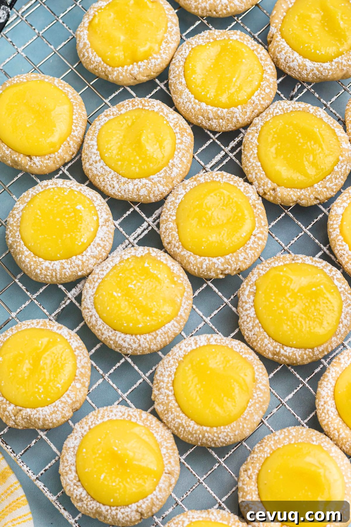Lemon curd cookies on a wire cooling rack, after being filled with lemon curd.